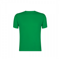 CAMISA DE ADULTO COLOR