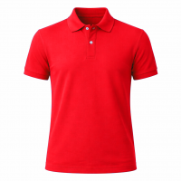 CAMISA TIPO POLO 100% ALGODON  HOMBRE