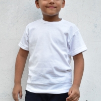 CAMISETA 100% ALGODON 150 gr