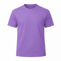 CAMISETA  100% ALGODÓN CLASICA 190 gr