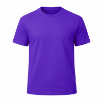 CAMISETA  100% ALGODÓN CLASICA 190 gr