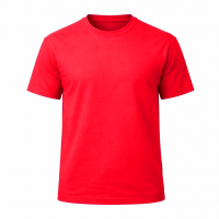CAMISETA  100% ALGODÓN CLASICA 190 gr
