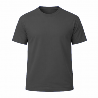 CAMISETA  100% ALGODÓN CLASICA 190 gr
