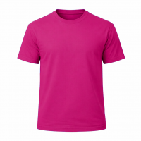 CAMISETA  100% ALGODÓN CLASICA 190 gr