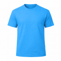 CAMISETA  100% ALGODON CLASICA 220 gr.