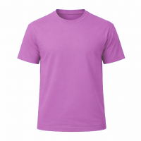 CAMISETA  100% ALGODON CLASICA 220 gr.