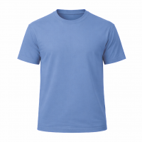 CAMISETA  100% ALGODON CLASICA 220 gr.