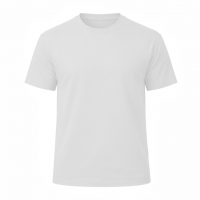 CAMISETA  100% ALGODON CLASICA 220 gr.
