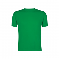 CAMISETA ADULTO COLOR