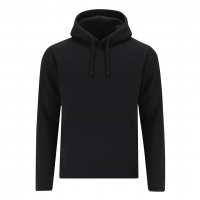 SUDADERA ADULTO DRACO