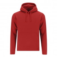 SUDADERA ADULTO DRACO
