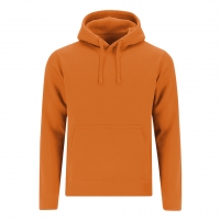 SUDADERA ADULTO DRACO