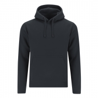 SUDADERA ADULTO DRACO