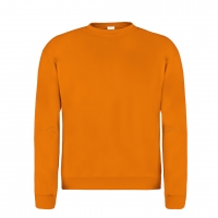 SUDADERA  ADULTO