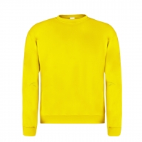 SUDADERA  ADULTO